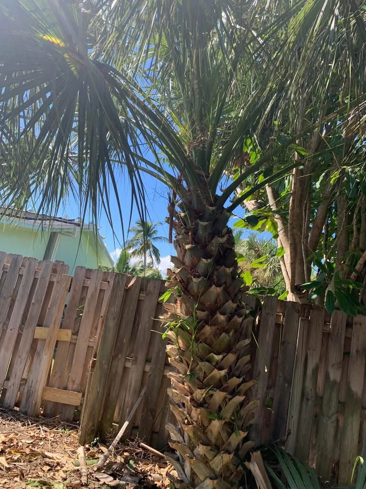 All Photos for Space Coast Property Maintenance and Management LLC in Melbourne, FL