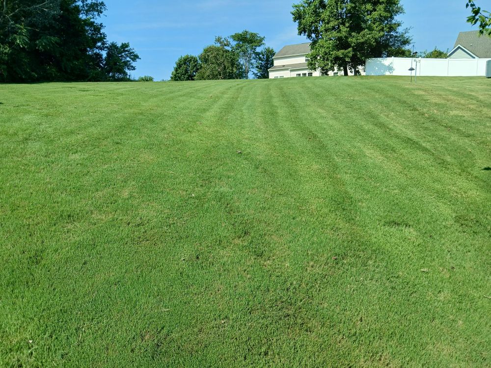 All Photos for Isaias Velasquez Landscaping and Services in Williamsburg, VA