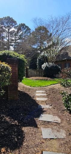 All Photos for Beach Tree Care in Virginia Beach, VA