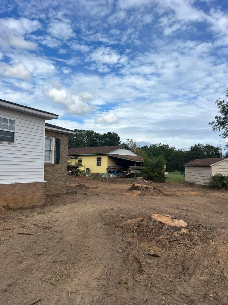 All Photos for Brooks Tree Service in Casar, NC