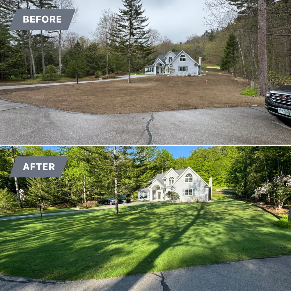Lawn Installs for AFH Earthworks in Madison, NH