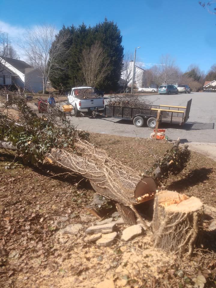 Tree Removal for Top Notch Lawn Care and Tree Removal in Mebane, NC