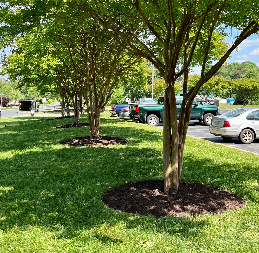 Commercial Full Service Maintenance for Malboeuf Landscaping, Inc in Kernersville, NC