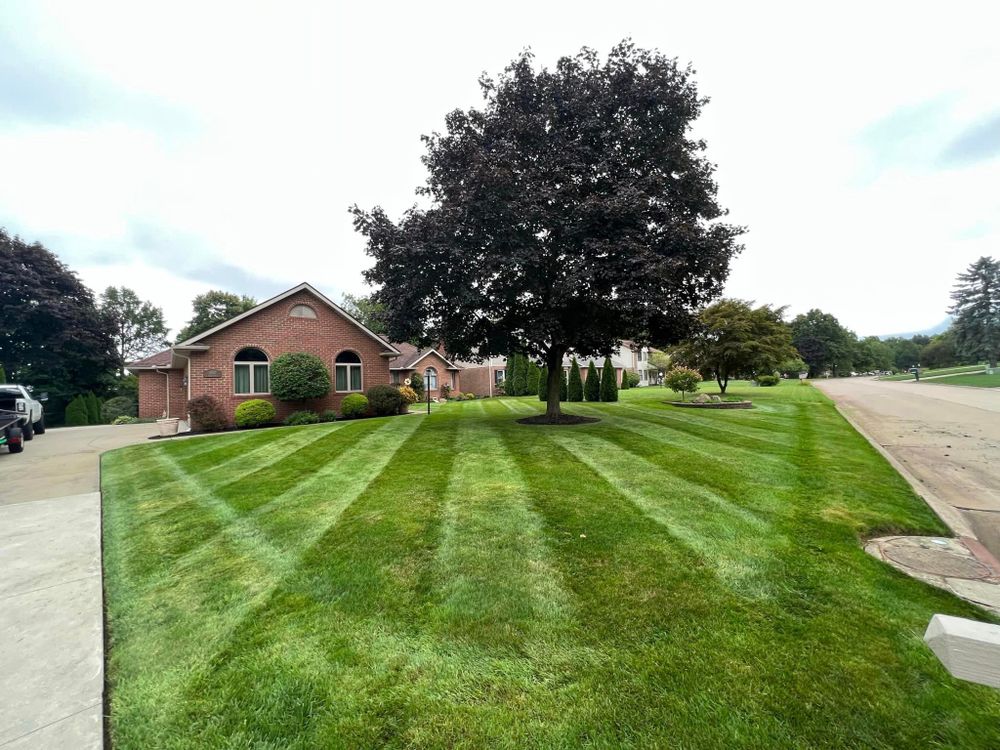 All Photos for Tactical Stripes Lawn care in Uniontown, OH