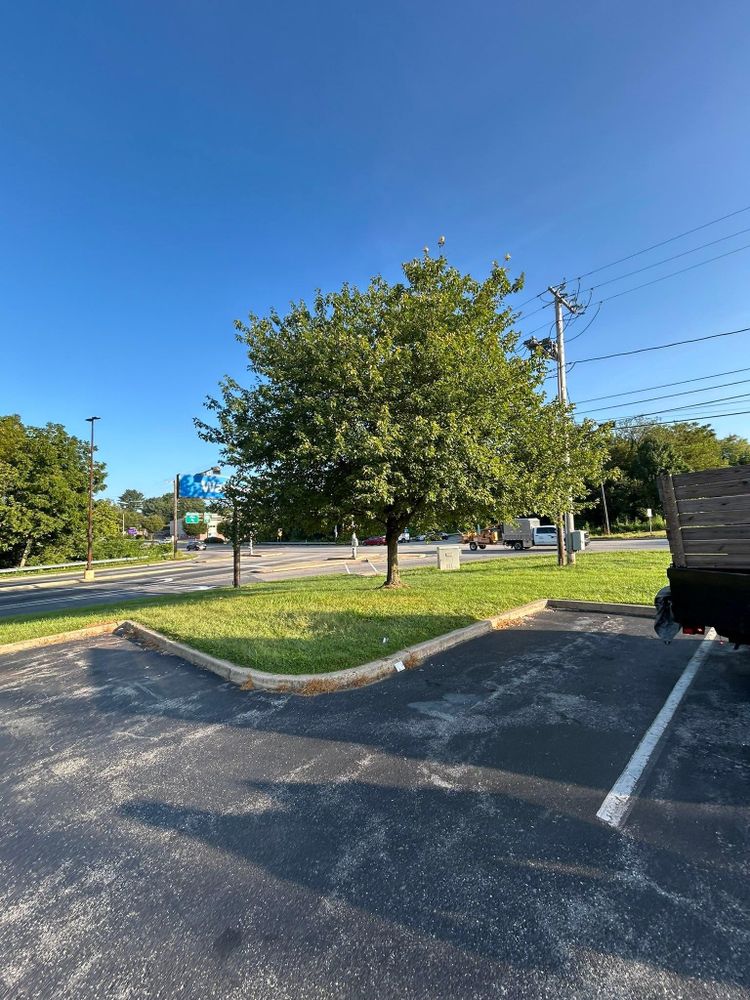 All Photos for Eric's Property Service in Conestoga, PA