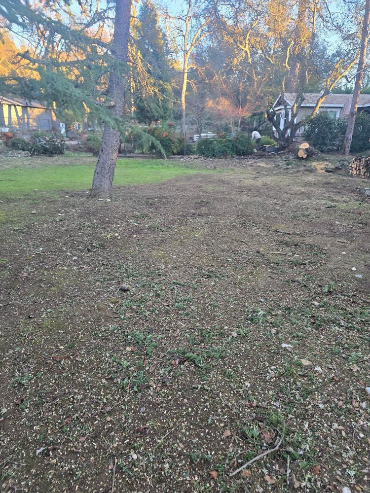 All Photos for Terra Heights Tree Experts & Landscaping  in Grass Valley,  CA