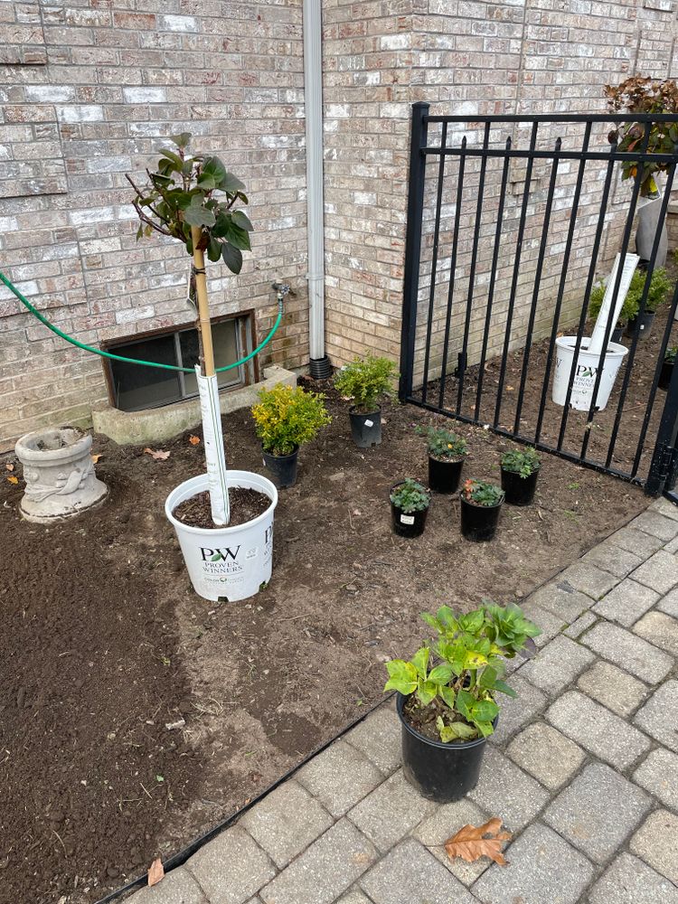 All Photos for Adams Landscaping in Springfield, MA