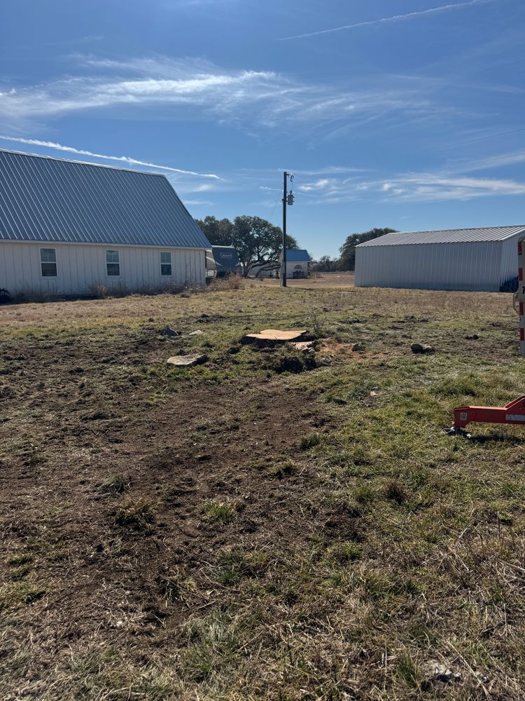 Tree Removal for Superior Lawn and Tree in Clifton, TX