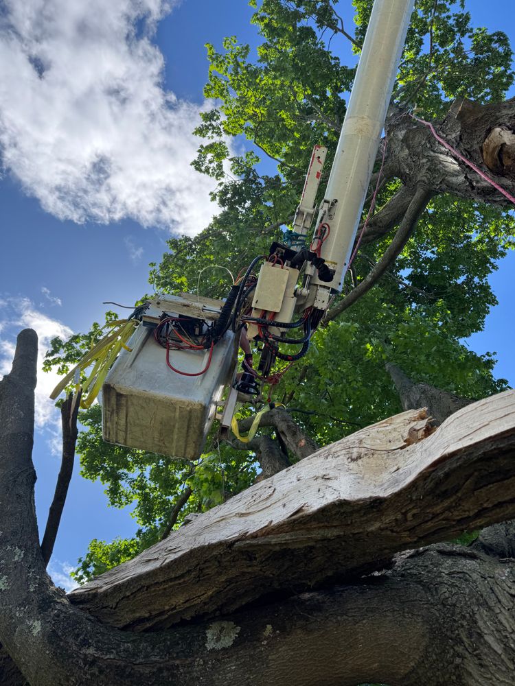 All Photos for Hennessey Tree & Landscape LLC in Oxford,  CT 