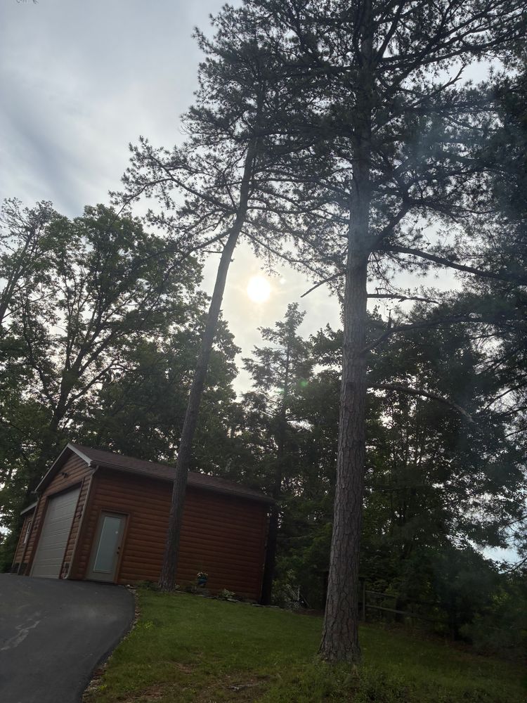 All Photos for Skys The Limit Tree Management in Morehead, KY