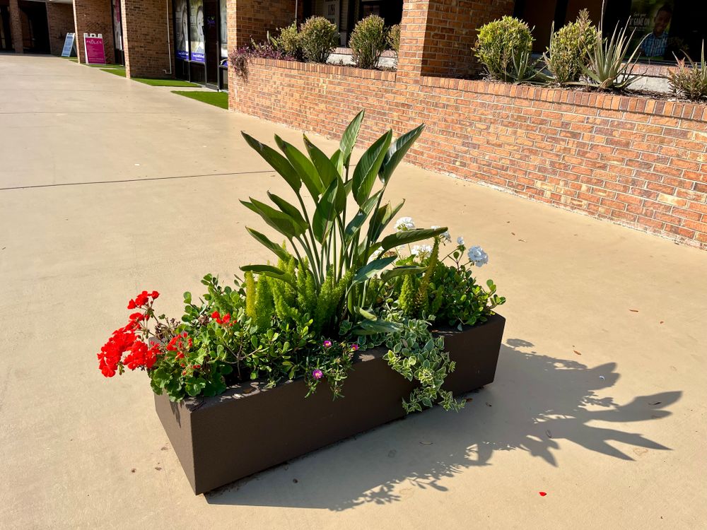 Landscape Design and Installation for Verimay's Garden and Landscaping in Hillsborough County, FL