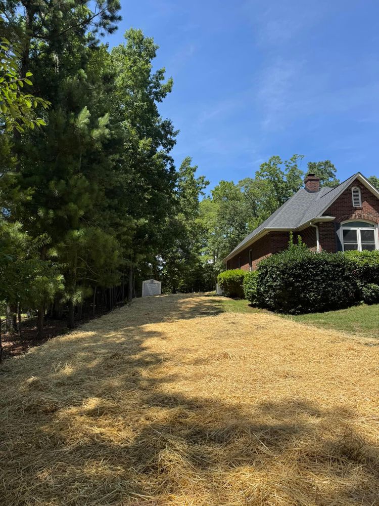 All Photos for Southern Turf & Landscape in Concord, NC