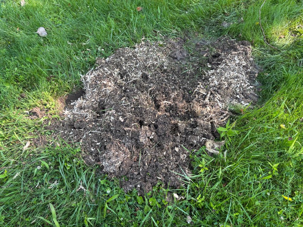 All Photos for Conrad's Stump Removal in Columbus, IN