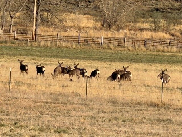 All Photos for Fair Weather, Inc in Rocky Ford, CO