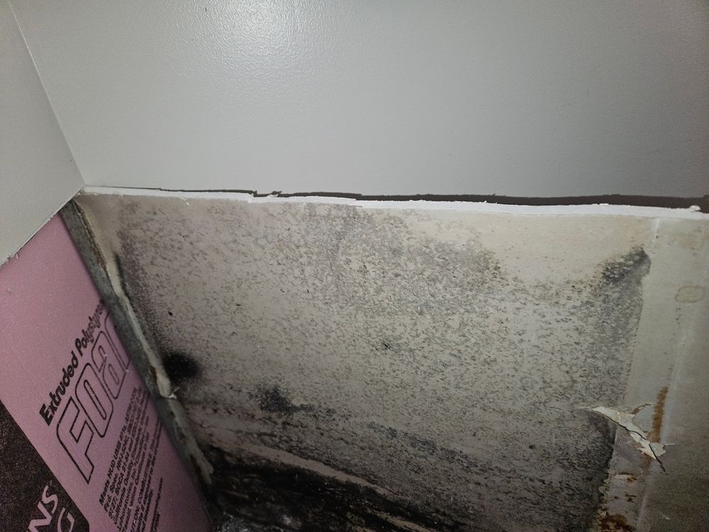 Mold Remediation for N&D Restoration Services When Disaster Attacks, We Come In in Cape Coral,  FL