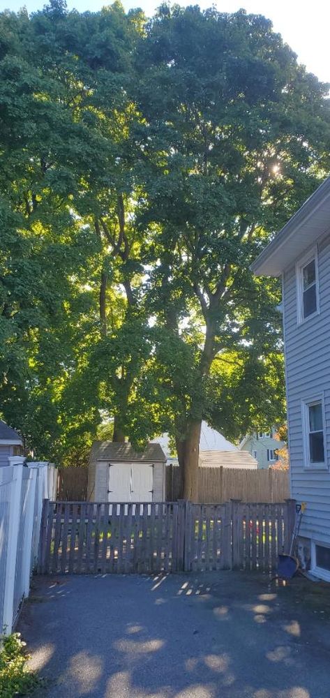 All Photos for Quest Landscapes in North Attleborough, MA
