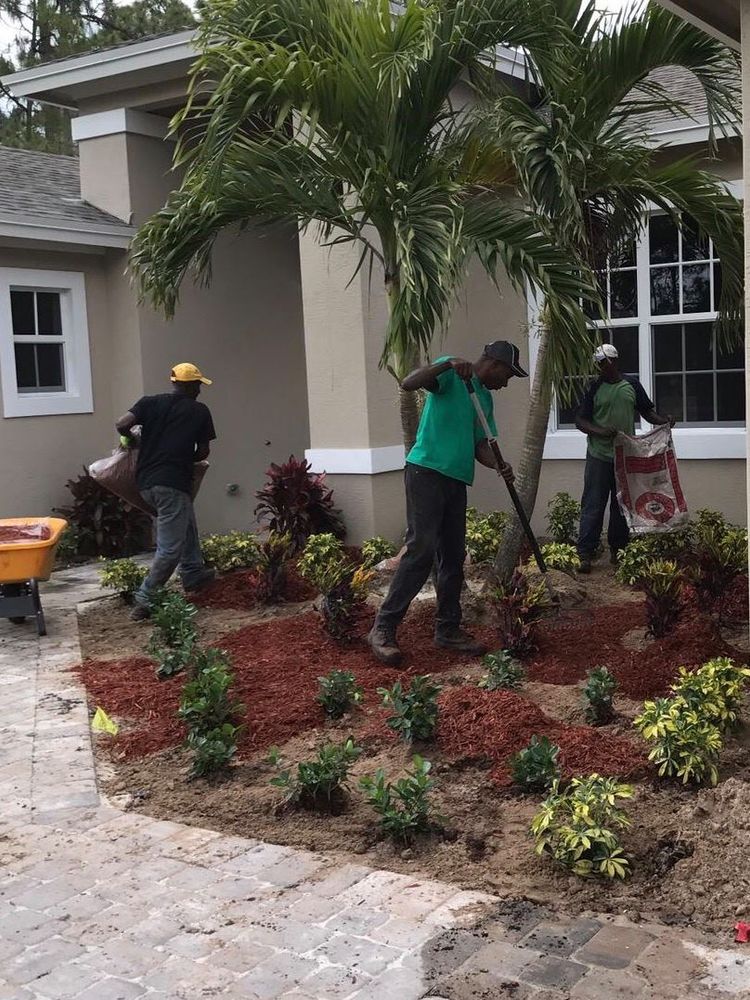 Enhance your garden's health and appearance with our professional mulch installation service. We expertly apply high-quality mulch to retain moisture, suppress weeds and enrich soil for beautiful landscapes year-round. for WORKS SOD in West Palm Beach, FL