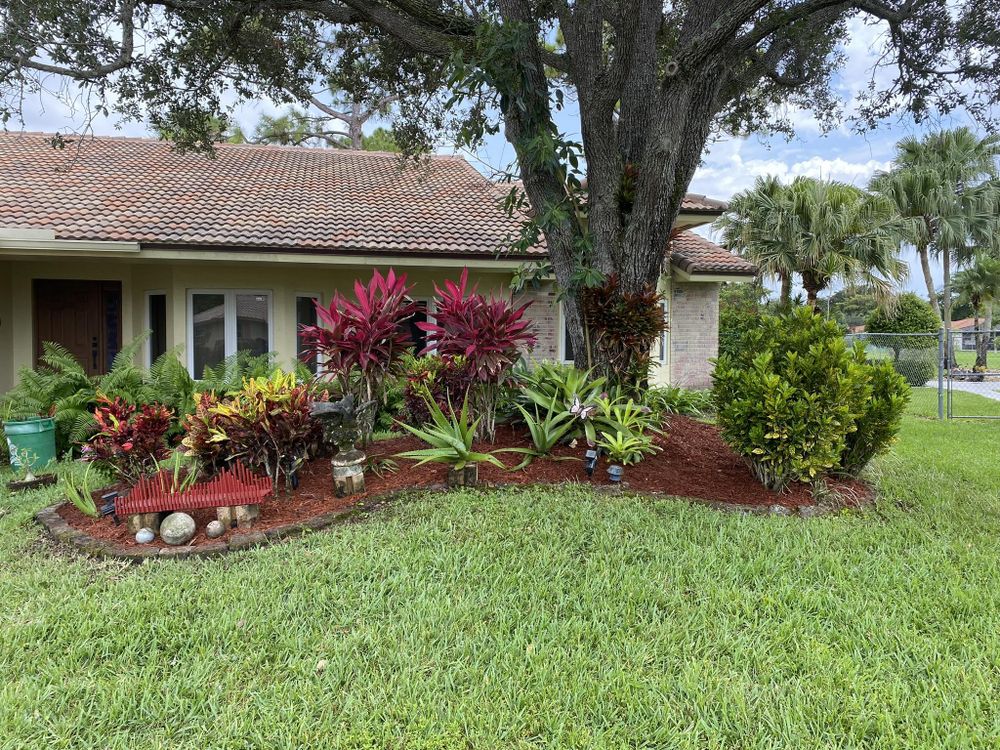 All Photos for A.C.'s Landscape and Lawn Maintenance in   Coral Springs, FL