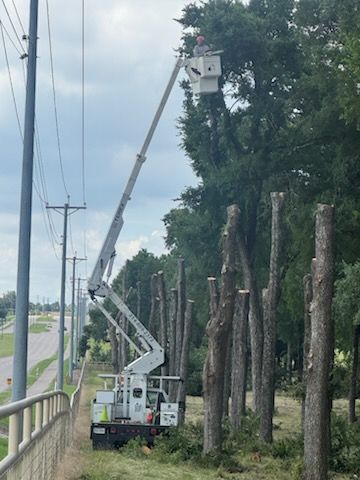 Our Utility Line Clearing service ensures safe distances from power lines, preventing outages and hazards. Trusted by power company contracts, we safeguard your home while maintaining efficient electrical service through expert tree care. for A Realtree Service in Garland, TX