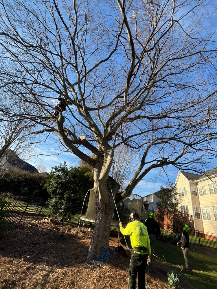 All Photos for Diversified Tree Company in Trinity, NC