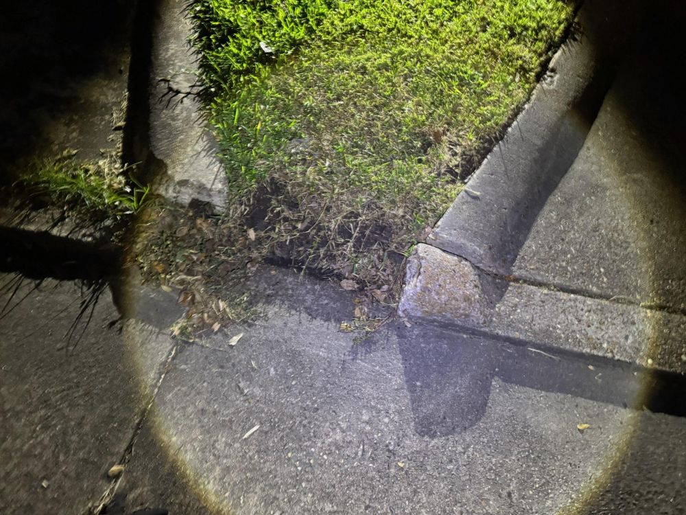 All Photos for Texas Curb N Borders in Houston, TX