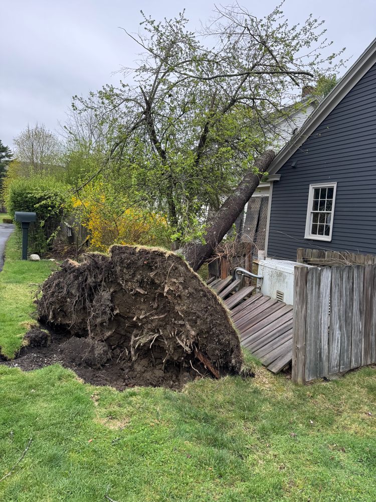 All Photos for Clifford’s Quality Tree Care & Landscaping in Enfield, NH