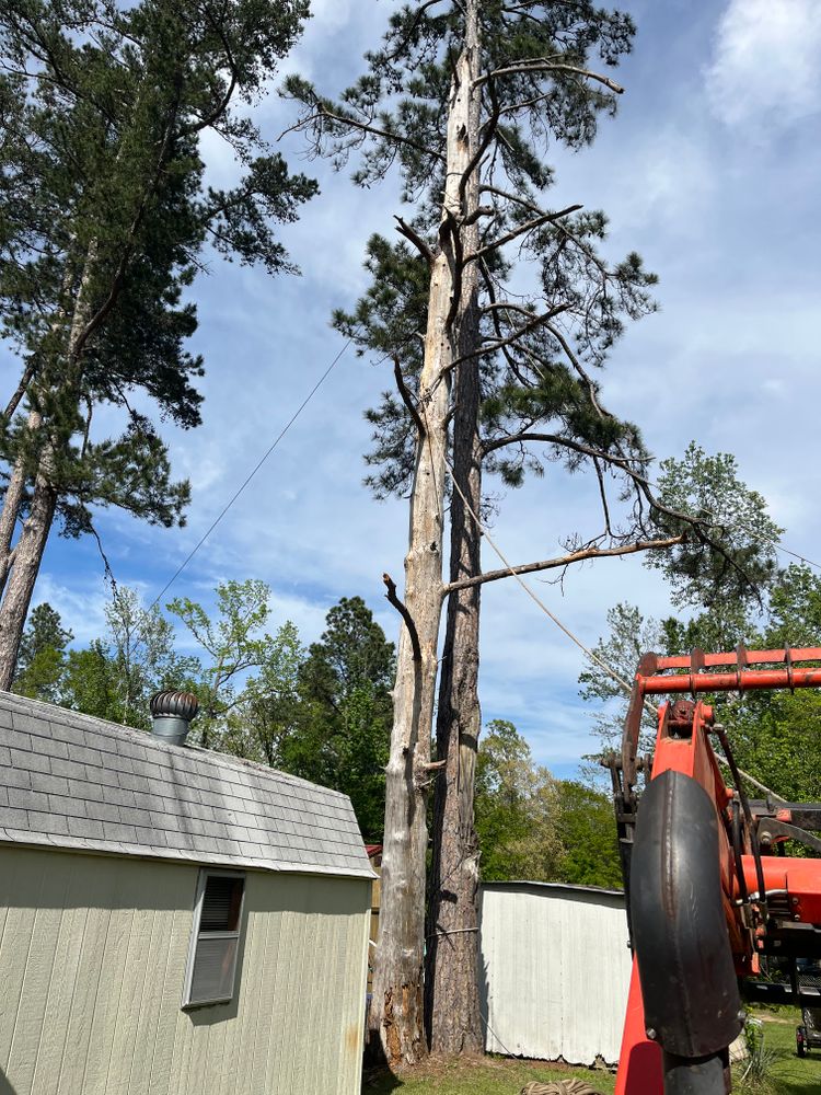 All Photos for JC Land and Tree Service in Kilgore, TX