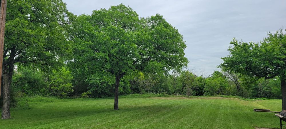 Lawn Care and Maintenance for Texican JLS in Manor, TX