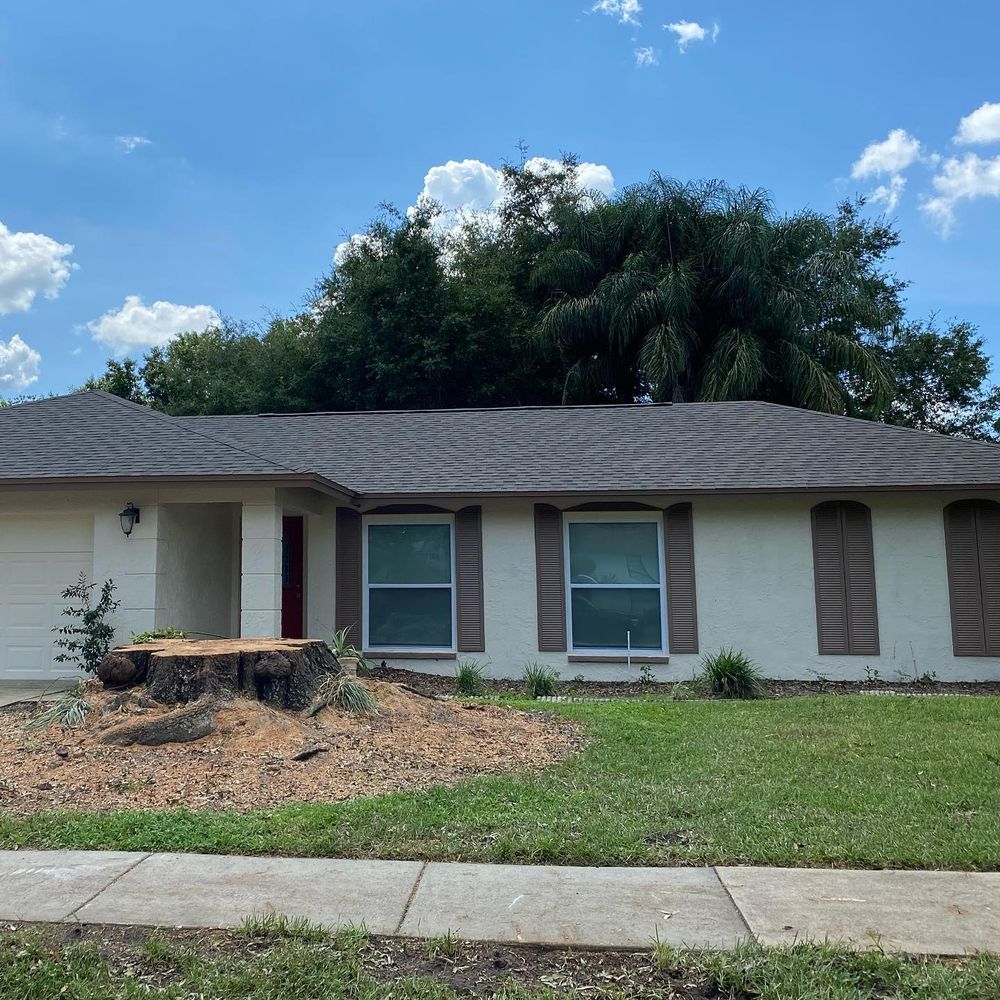 All Photos for TLM Landscape Professionals in Clermont, FL