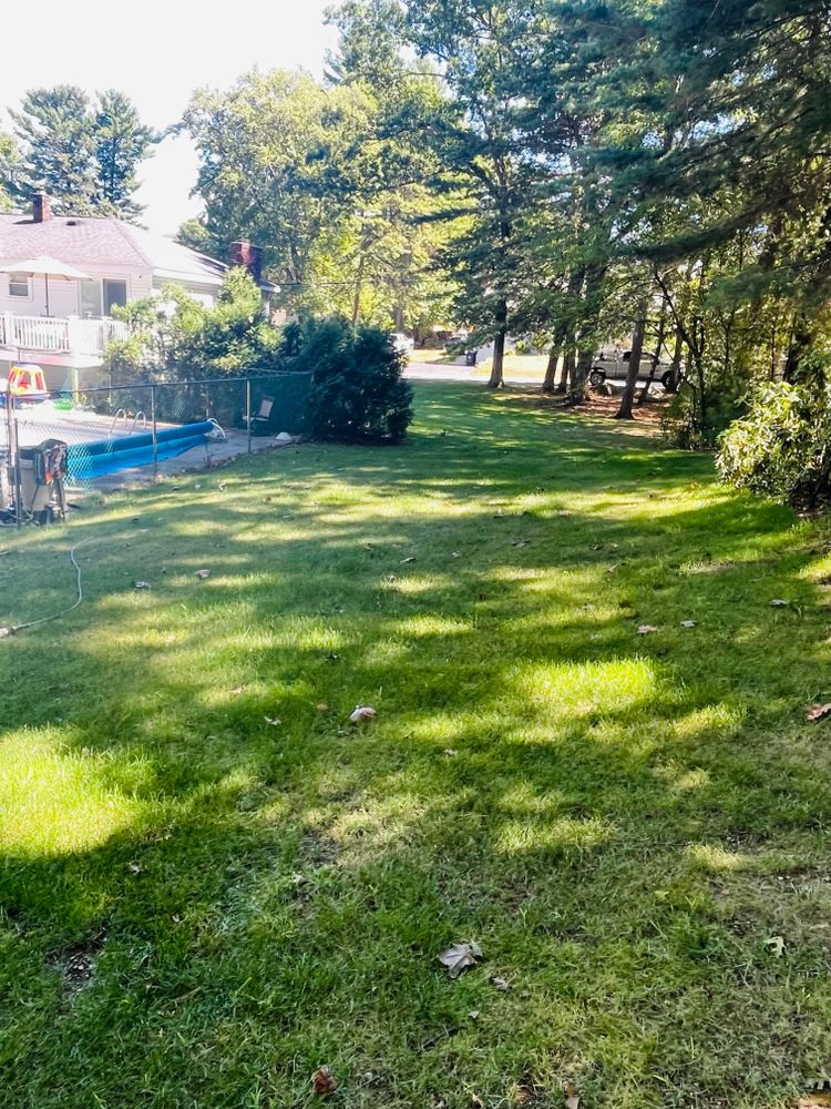 Land Clearing & Yard Expansion for Wagex Corp in Wilmington, MA