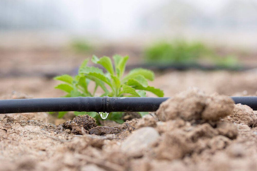 Commercial Irrigation for Advanced Irrigation Services LLC in Moyock, NC