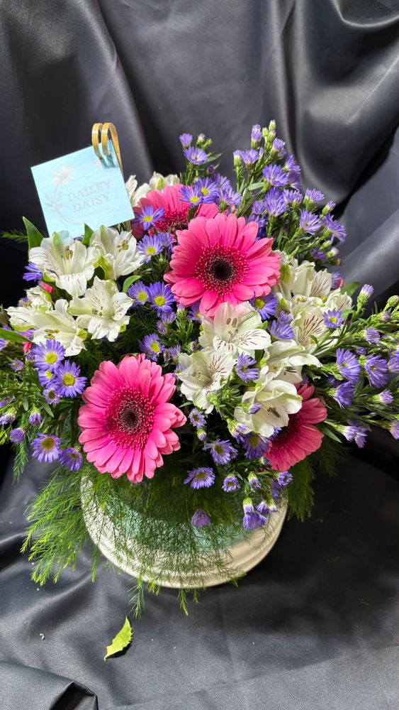 All Photos for The Dailey Daisy in Hardwick, VT