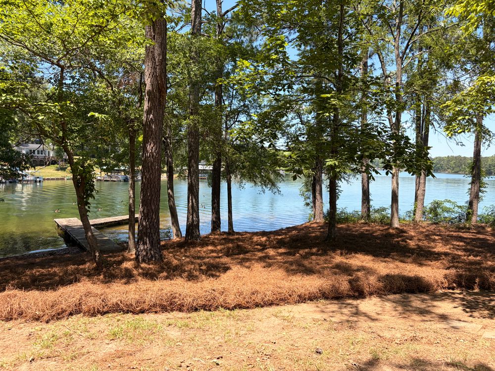 All Photos for Lakeside Lawncare in Cross Hill, SC