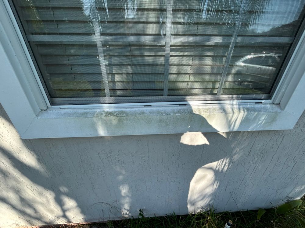 All Photos for Project Masters Group in Tampa, FL