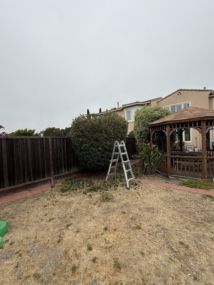 Landscaping for CBA Landscaping in Hayward, CA