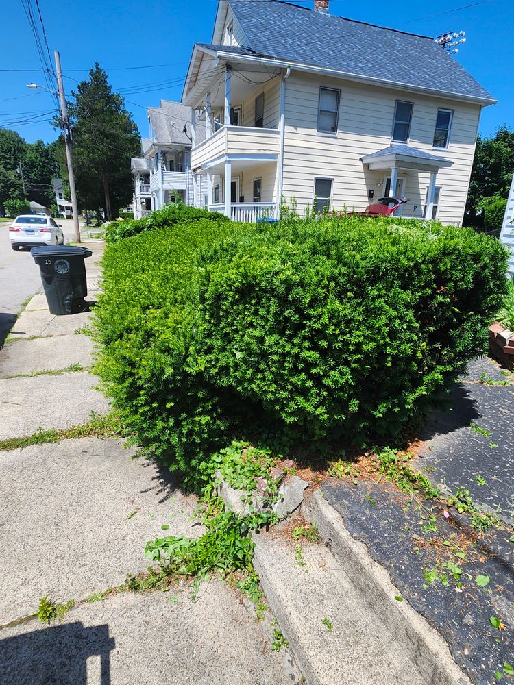 All Photos for Landscape Innovations LLC in Torrington, CT