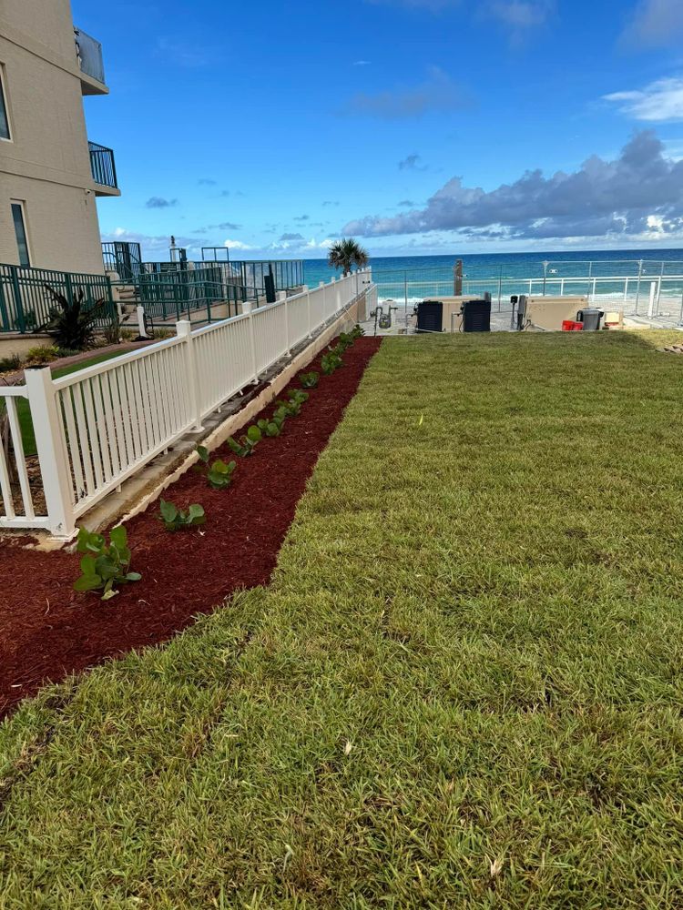 All Photos for Cunningham's Lawn & Landscaping LLC in Daytona Beach, Florida