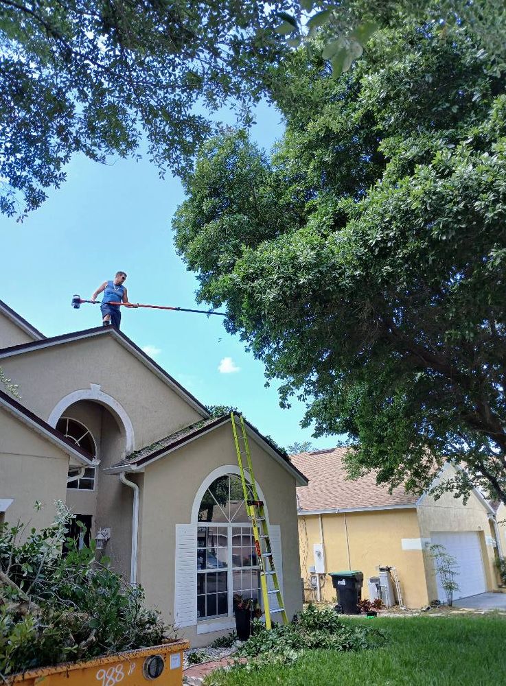 Enhance your landscape's beauty and health with our expert Tree Pruning service, designed to remove dead branches, improve tree structure, and promote robust growth while ensuring safety around your property. for A Southern Style Tree Service in Orlando, FL