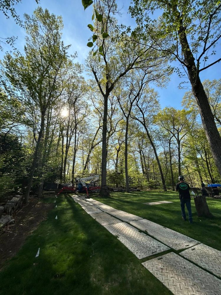 Emergency Tree Services for DC TREE in Vernon, CT
