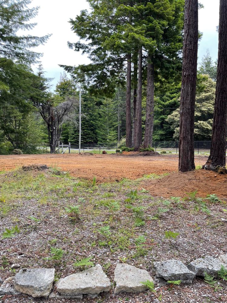 Our stump removal service efficiently eliminates unsightly tree stumps from your yard, enhancing landscape aesthetics and safety. Enjoy a clean, open space for new plantings or outdoor activities without hassle. for J. Orozco & Sons Ent in Philo, CA