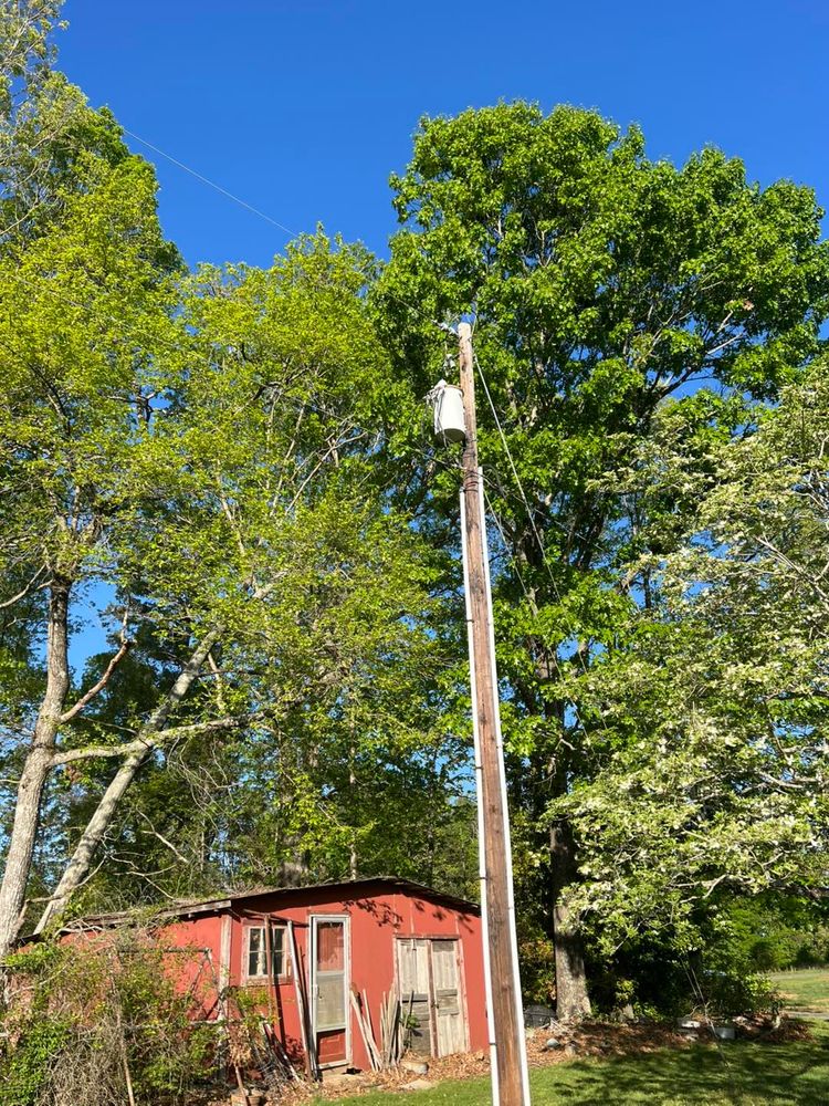 All Photos for Brooks Tree Service in Casar, NC