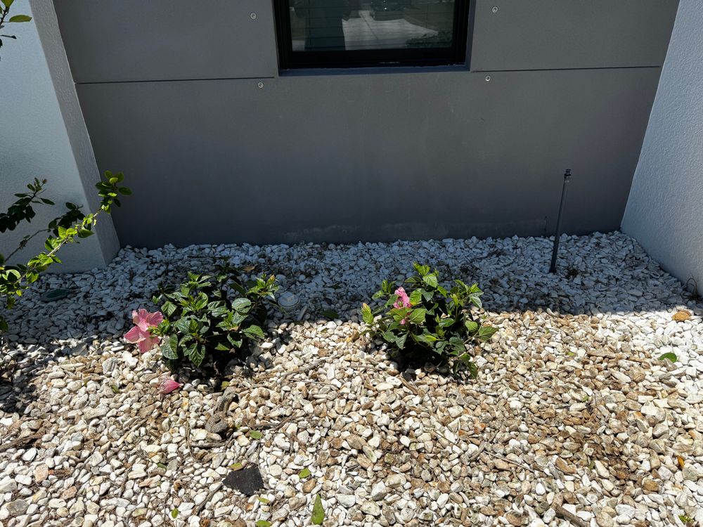 All Photos for BH Lawn & Landscape in LaBelle, FL