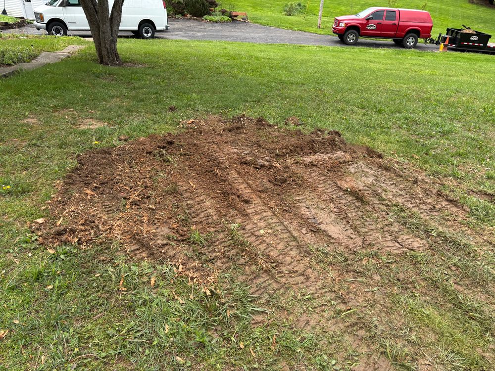 All Photos for Conrad's Stump Removal in Columbus, IN