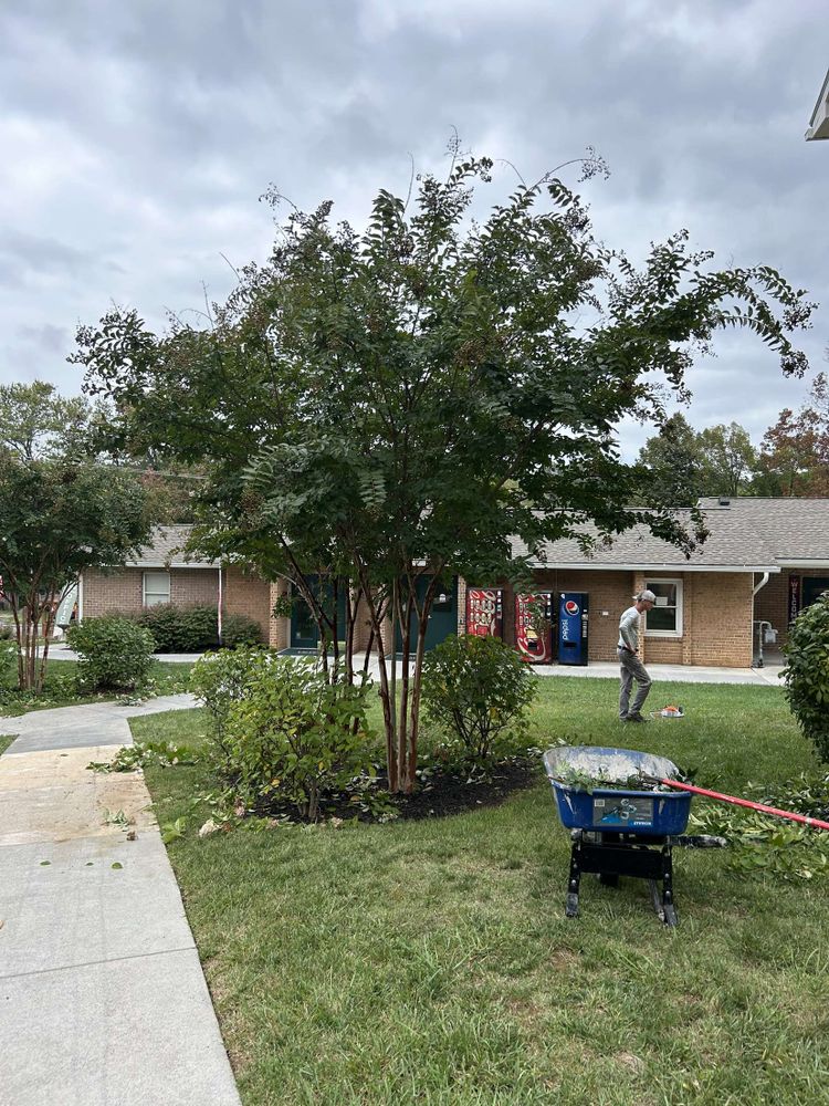Landscaping for Lakeside Landscaping  in Gordonsville, VA