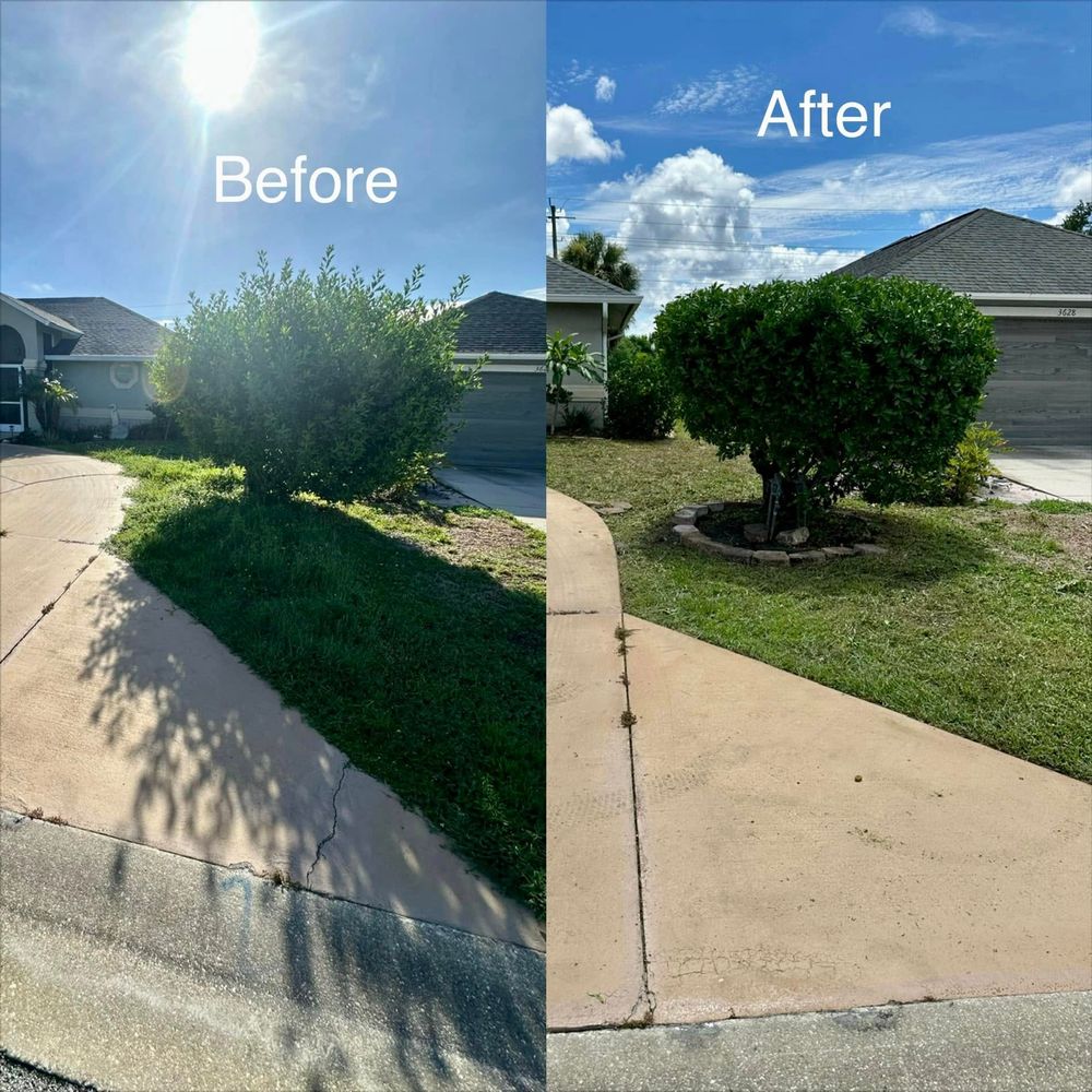 Our expert pruning service enhances your landscape's health and appearance by carefully removing dead or overgrown branches, ensuring robust growth, improved sunlight exposure, and a vibrant outdoor environment. Enjoy a thriving garden today! for Green Pastures Lawn Services LLC in Golden Gates Estates, FL