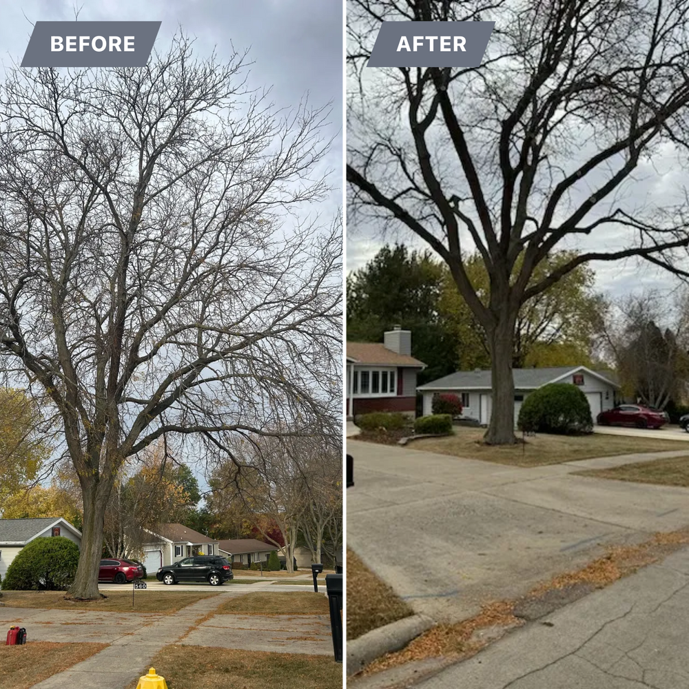 All Photos for Fransen's Tree Service  in Freeport, IL