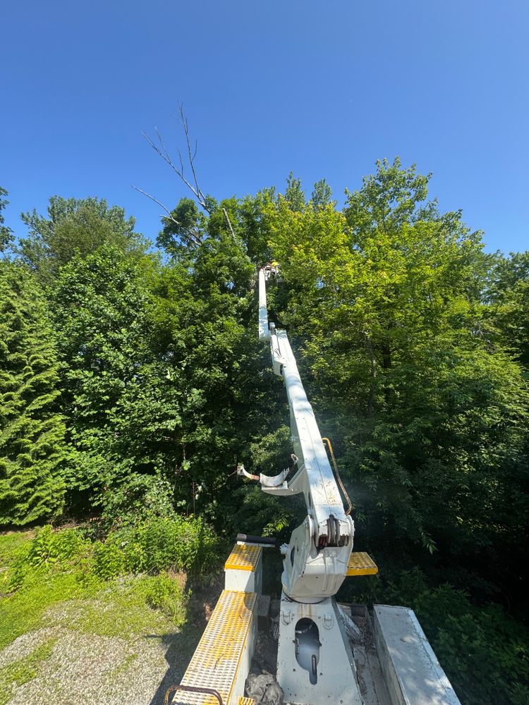 All Photos for Hennessey Tree & Landscape LLC in Oxford,  CT 