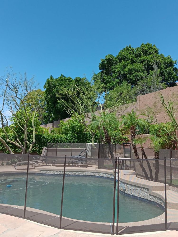 All Photos for Family Landscaping in Phoenix, AZ