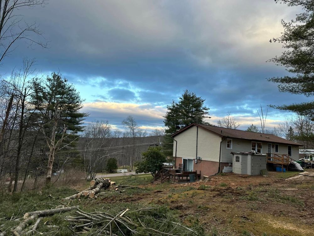 All Photos for All American Tree Services LLC in Dallas, PA