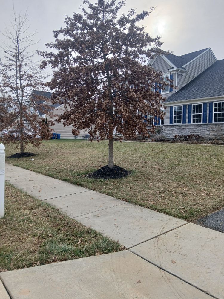 All Photos for Ace Property Solutions INC. in New Castle County, Delaware